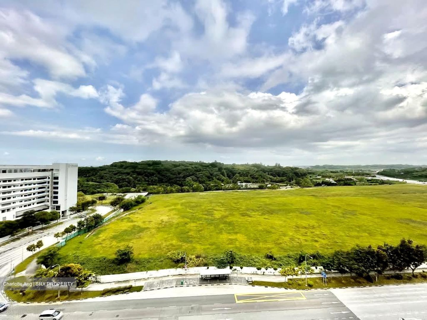Flo Residence (D19), Condominium #569264051
